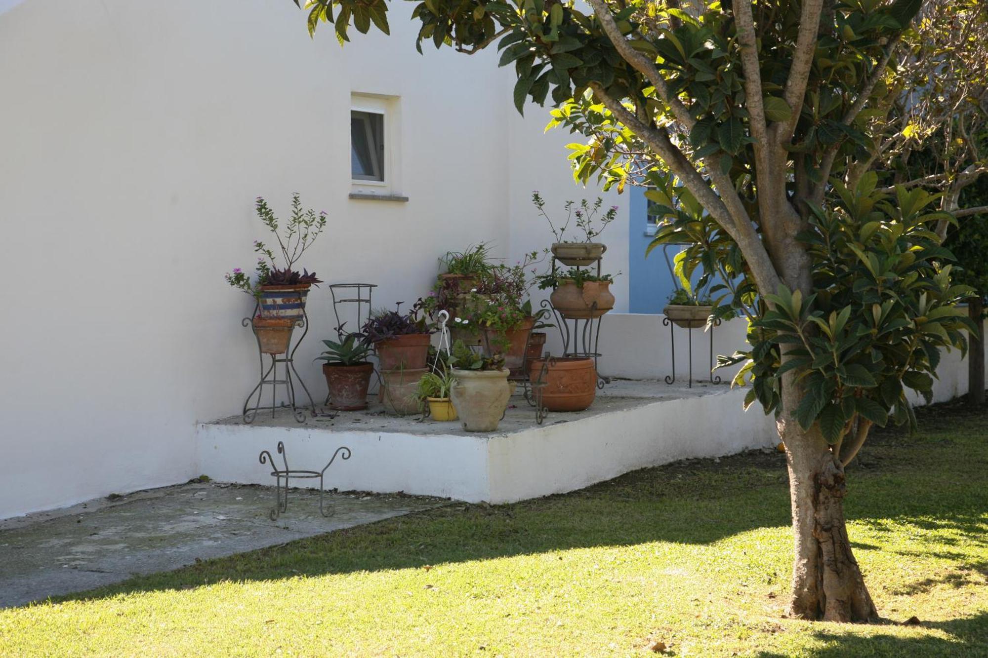 Il Carrubo Apartment *